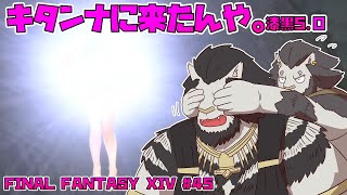【FINAL FANTASY XIV】 #45 どこまでつづくコスモス どこまでも同じ景色 【ファイナルファンタジー14 実況】