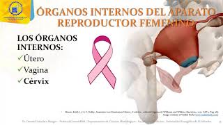 Aparato reproductor femenino: Organos femeninos Internos y externos 1/5  - Dr. Ottoniel Sánchez