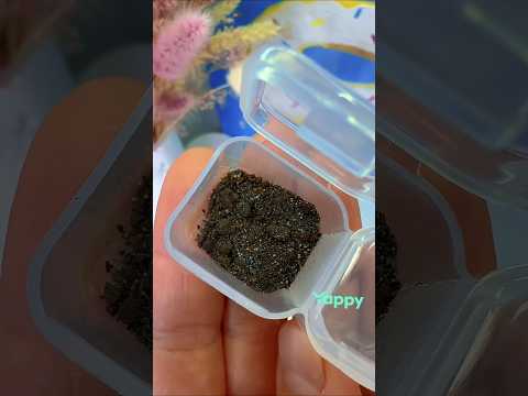 Шикарная находка ✌️