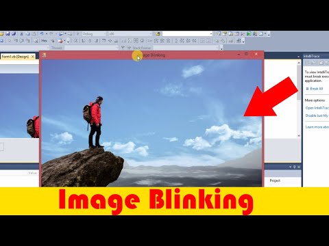 Image Blinking Tutorial In Vb.net Hindi | Photo Blinking in Visual Basic vb.net