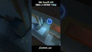 BBL Rosé의 소바 어비스 A 전진체크 각화살