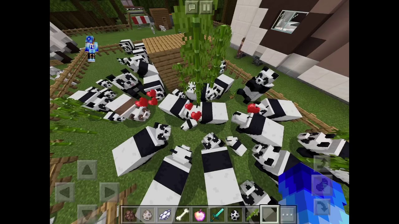 Panda Eat Bamboo Minecraft YouTube