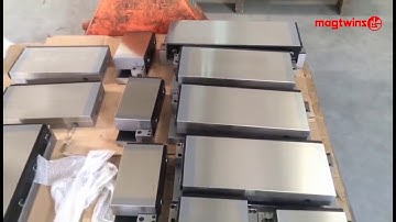 Permanent magnetic chuck-MAGTWINS