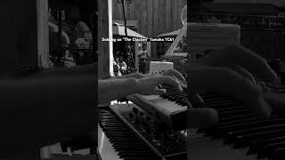 Jazz Funk Organ-Yamaha YC61 #livemusic #funk  #jazzfunk #livemusic #soulmusic #yc61 #keyboardsolo