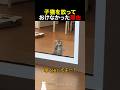 子猫を放っておけなかった理由