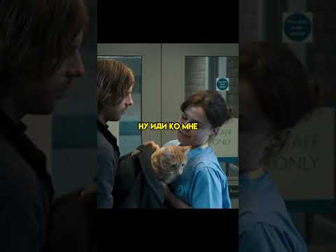 Отдал все свои деньги, ради бездомного кота🥺 #Shorts #Фильмы #топ