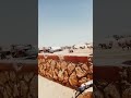 نطالب بطرد الاوتاكو لليابان  رينغوكو اكسبلور 