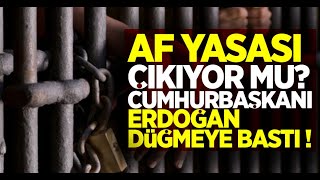 9. YARGI PAKETİNDE NELER OLACAK! AF YASASI ÇIKIYOR MU!