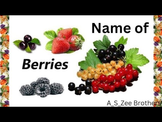 Types Of Berries And Their Names