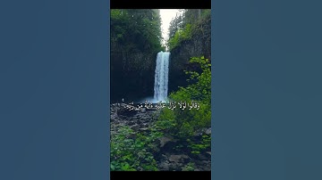 سورة الانعام | اكتب شيء تؤجر عليه #القرآن #القرآن_الكريم