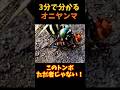 【ゆっくり解説】昆虫界のステルス戦闘機オニヤンマ#オニヤンマ#昆虫#スズメバチ