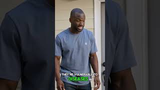 Why Vets Tell You to Wait Before Walking Your Puppy #petvaxcalendar #pethealth #puppycare #doghealth