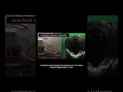 Titanoboa: The Mega