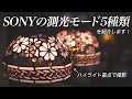 SONYカメラの『測光モード5種』を紹介!そもそも測光モードを使う理由ってなに?