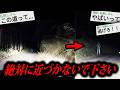 2ちゃんねらー「峠で変なものを見てしまった」→末路がガチで怖すぎる…