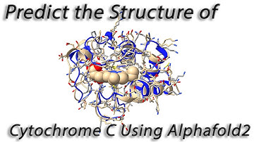 Using Alphafold2 with Chimera X to Predict the Structure of Cytochrome C