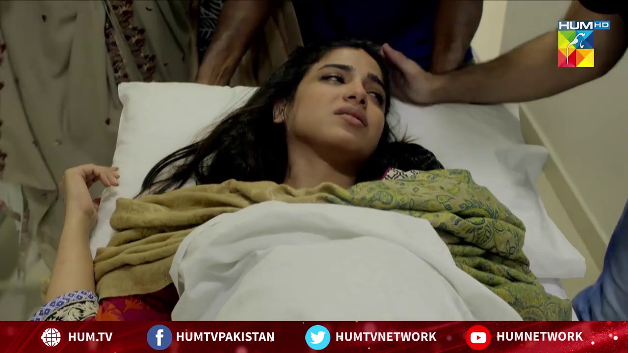 Apni Sahulat Ke Liye Layi Thein Na Aap Mujhe  | Saraab | Best Moment | HUM TV | Drama