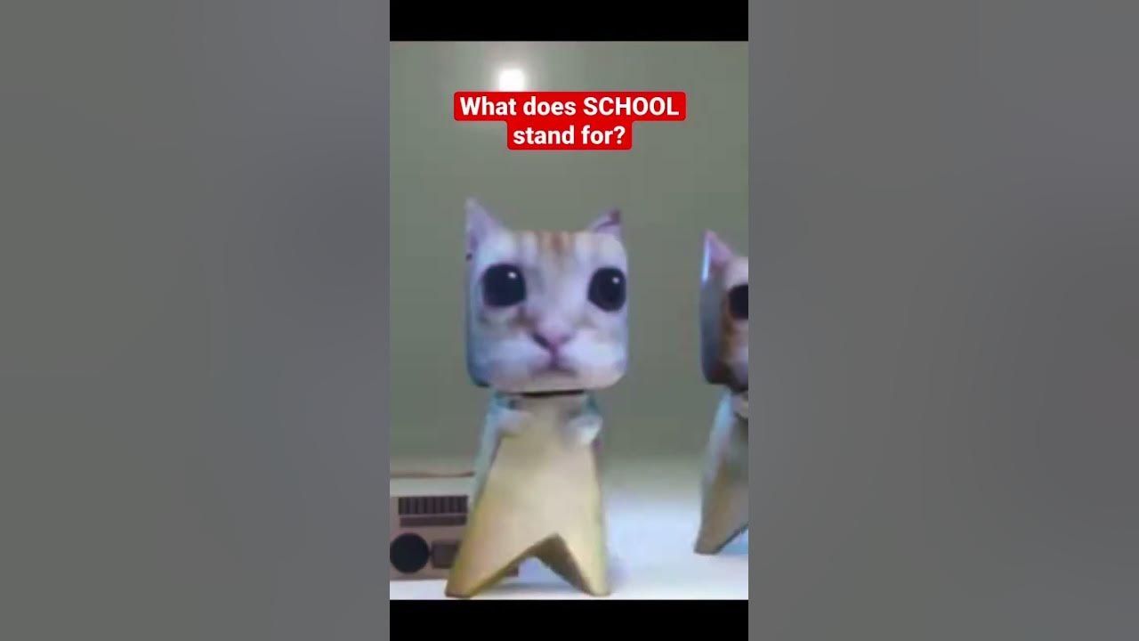 what-does-school-stand-for-youtube