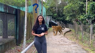 HOW IS A ZOO IN THE AMAZON / VLOG ON CIGS AMAZONAS