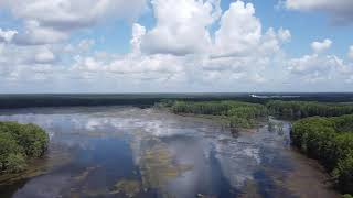 Lake Munson (Tallahassee, Florida)