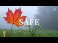 SAFE - Soft Guitar Background Music 🎸for Focus &amp; Stops Overthinking  | GUITAR TRANQUILITY