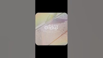 سورة الإخلاص #funny #shortvideo #اكسبلور #video #ترند #youtubeshort #foryou #المصحف #duet #food #fyp