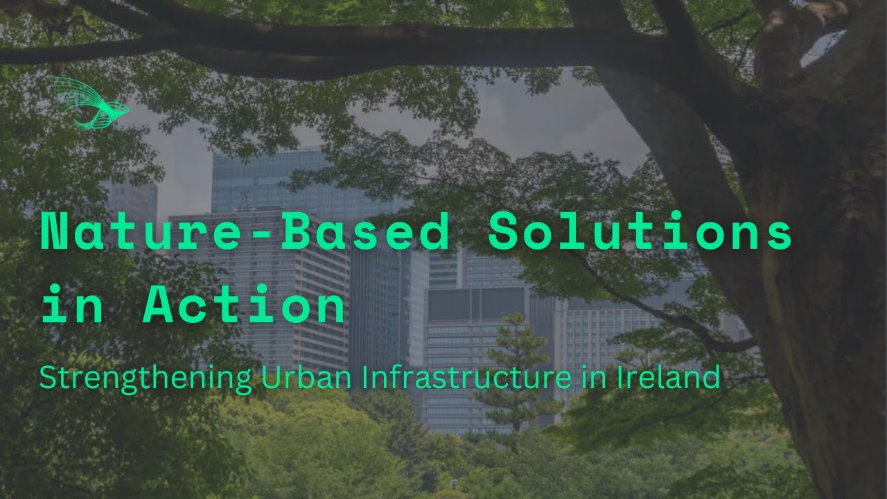 Nature-Based Solutions in Action: Strengthening Urban Infrastructure in Ireland