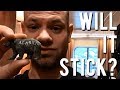 Will It Stick? Carnival Legend Will It Stick? Carnival Legend