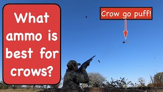 What ammo is best for shooting crows?