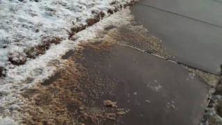 Magic Salt; A Fast and Effective de-icer