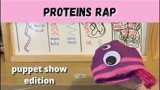 Proteins rap