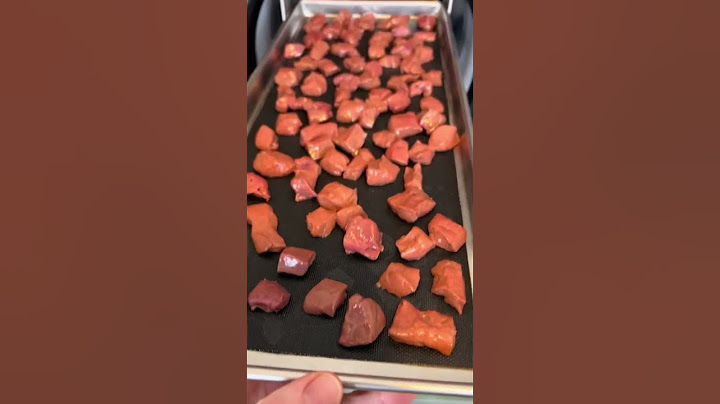 Yes, I’m Freeze Drying Dog Food 🐶#shorts
