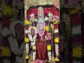 🌺முருகன் துணை🌺Tamil god murugan songs 🦚🦚 #shortsfeed #shorts #murugansongs  #muruganthunai  #murugan
