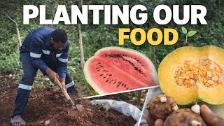 👉 Planting Our Own Food  🌱 (Off-Grid Living)