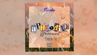 Pinkbarney feat. Marcus Ali - Aphrodite Resimi