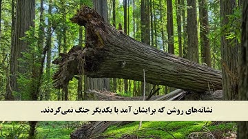 جز 3 ( سوره بقره از آیه 253 تا 256 ) با ترجمه فارسی صوتی و تصویری