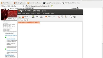 Cross Site Scripting (XSS) - Stored XSS Attacks