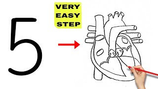 How to draw Human heart diagram drawing class 10 science