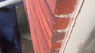 Exposing TheElektrikans Laptop Smash Video