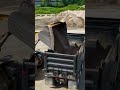 Why Are India’s Homes So Strong? The Shocking Secret Behind Cement 😳