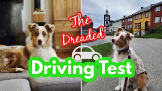 Passing the dreaded Norwegian drivers test