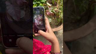 Plantora App: The biggest secret decoder in the world of plants!🌱😱✨(Check Description for App Link) screenshot 4