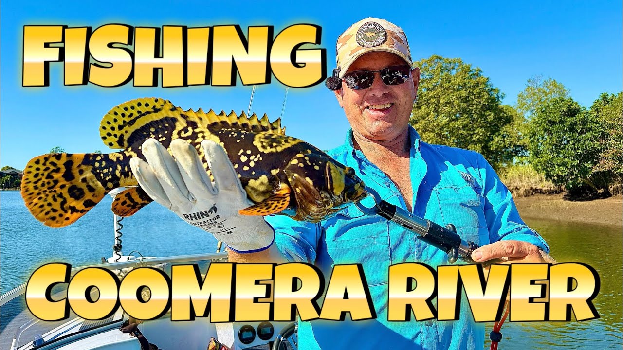 FISHING THE COOMERA RIVER SURPRISE CATCH OF JUVENILE QUEENSLAND GROUPER - FISH RETURNED SAFELY