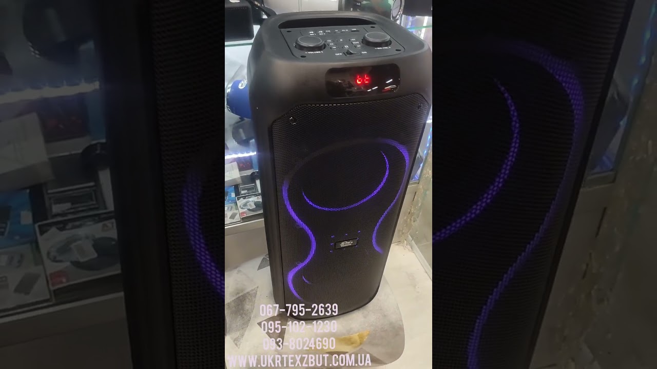 DJACK Автономная акустическая система ZX-825 + радиомикрофон, LED