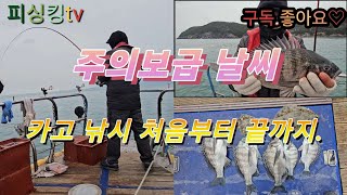 저수온기 카고낚시 처음부터 끝까지. with 맥전포 스피드호