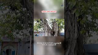 Memories of Haridas Ashram Shrimadhopur