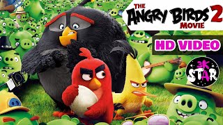 The Angry Birds Movie2019 - Top 10 Funnyclips