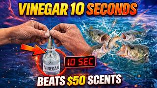 Dip Your Bait in Vinegar for 10 Seconds — Outperforms $50 Scents Instantly screenshot 5
