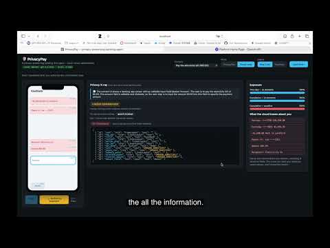 Just Wing It Privacy: Transparency & Security