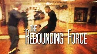 Experience the Rebounding Force of Huang Taiji ( part of the IWKA 3 pillars Yang Taiji curriculum)